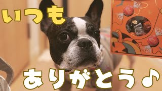 感謝の気持ち伝えてみた♪