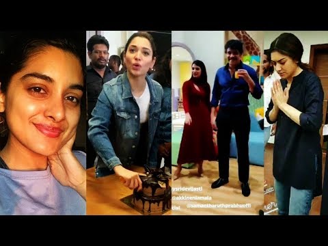 Actress Cake Cutting Tamannaah | Bindu | Shriya Saran Love Chocolate | Hansika | Samantha