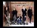 Dig-Incubus (Live acoustic version with lyrics)