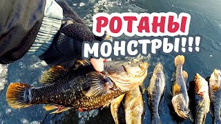 Ловля ротана крупного