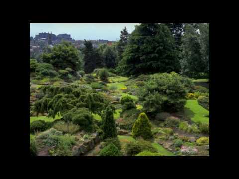 In The Garden video