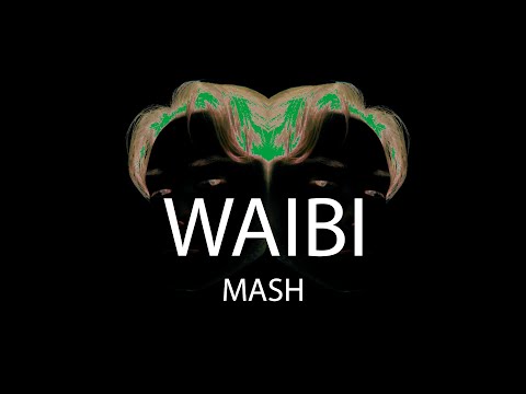 Calvin Harris x Bicep (WAIBI mash)