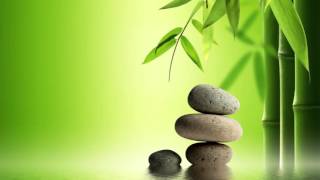 Zen Music for Ambient: Background Music for Feng Shui e Mind Relaxation