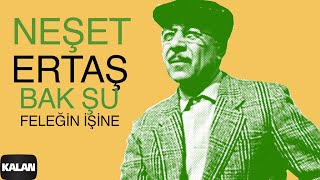 Neşet Ertaş - Hele Bak Şu Feleğin İşine [ Niye Çattın Kaşlarını © 2000 Kalan Müzik ]