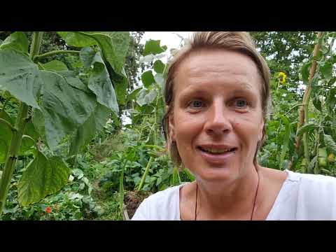 Kako si sami kreiramo Život,  primjer iz Života @BojanaSvalina