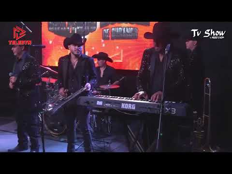 Volvió El Dolor 2025 - Brazeros Musical (Video Concept) 🎷🦂