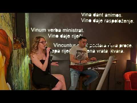 Ines Senjic & Zeljko Pejic - Jelen (Sladja Allegro)