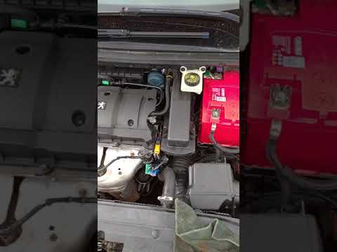 Где найти номер двигателя Peugeot 307