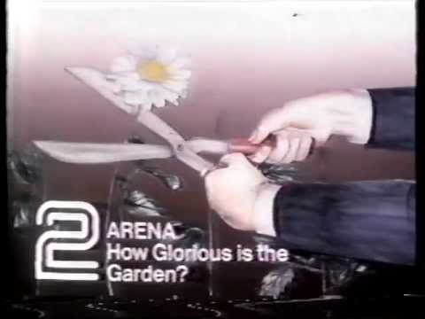 BBC2 Continuity - 17th March 1985