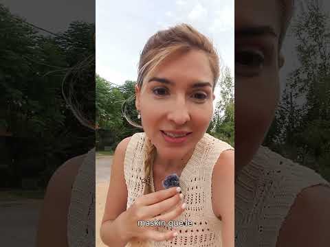 Lissett Morales-11