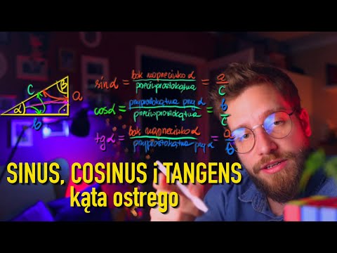 What is SINE, COSINE and TANGENT of an acute angle in a right-angled triangle❓MATURA AMENDMENT 20...