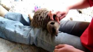 You&#39;ve got a friend in me