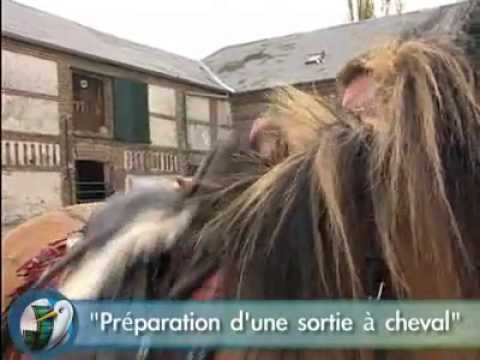 Des bas-champs à la Baie à cheval - Débutants