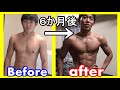 【筋トレ】半年ガチった結果【ボディビル】