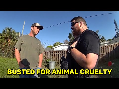 Florida Man Left Dog in Nasty Unsafe Cage - Indian River County, Florida - February 3, 2024