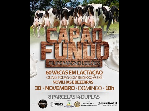 LEILÃO CAPÃO FUNDO 30/11/2025 - FILIPE MAGNO LEILÕES - RIO PARANAÍBA-MG