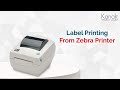 Label Printing on Zebra Printer | Zebra Labels in Odoo | ZPL Functioning and Configuration