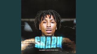 Download lagu Shark mp3