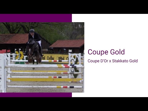 Was macht eigentlich … Coupe Gold?