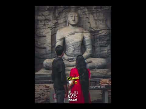 Mage Jeewithe (මගෙ ජීවිතේ) Slowed + Reverb Song Lyrics Video #song #lyrics #love