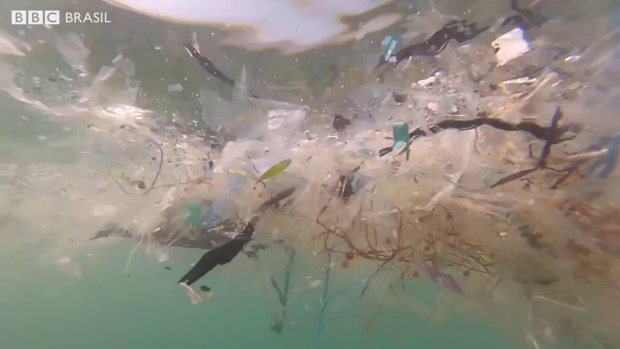 A criativa solução da Noruega para acabar com o lixo plástico nos oceanos