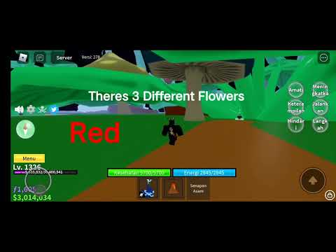 All 3 Flowers Location In Blox Fruit