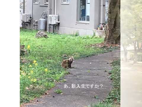 農林海洋科学部（キャンパス散策）朝倉・物部キャンパス、学生寮のご案内