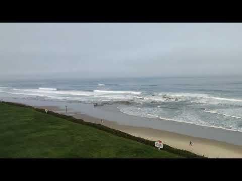 Tom Ryan Oceanfront View From Room
