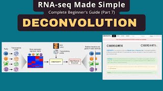 CIBERSORTx Tutorial: Cell Type Deconvolution from Bulk RNA-seq Data