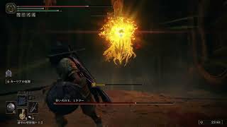 【ELDEN RING】忘れた頃のDLC#18