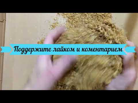 Табак-Турция Marlboro GOLD.Крепость: Средний. обзор табака 2025.