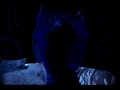 Bram Stoker S Dracula Lucy