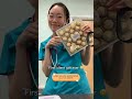 Best Things About Being A Veterinarian
