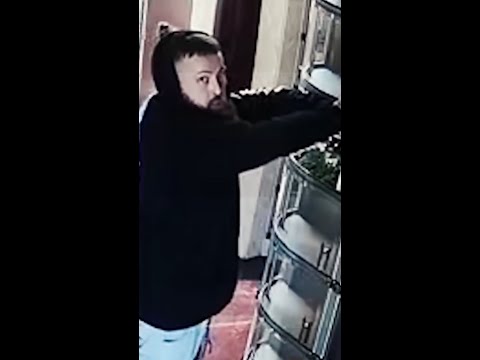 Manhunt underway for tomb raiding trio