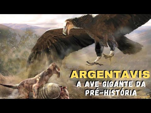 ARGENTAVIS - A MAIOR AVE VOADORA QUE JÁ EXISTIU! CONHEÇA TUDO SOBRE ESSE GIGANTE DO PASSADO!