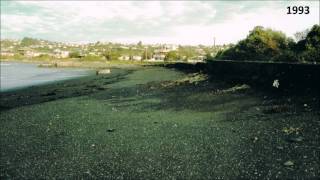 preview picture of video 'Westshore Beach Erosion - Timeline'