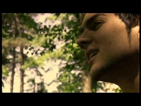 Velimir Petrovic Veco - Disem za tebe SPOT