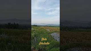 Download lagu Ida Laela Sinis mp3