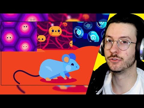 Daxellz Reacts to @kurzgesagt How to Cure Aging – During Your Lifetime