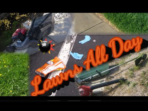 Mowing California Lawns | Summer Lawn Care