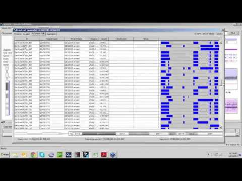 Constitutional and Cancer Sample Review for Cytogeneticists: Copy Number and Seq. Variant Analysis