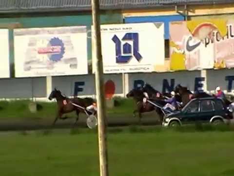 "VI kasacka trka" (KK ¨Backa¨); 1640 m;  25.04.2010.