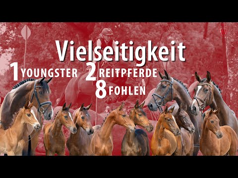 Trailer - Vielseitigkeit aus Westfalen Online-Auktion 21. - 25. September 2023
