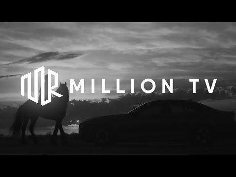 ZERO SUGAR & MEYSTA - Stay