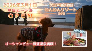 🐾【犬連れ西伊豆旅 ep1】リニューアルした大江戸温泉物語わんわんリゾート西伊豆にお特に宿泊｜夕日×温泉×ビュッフェ