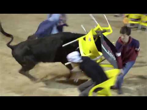 Festas de São José 2017 - Largada de Toiros