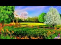 NYAMACHE GREEN SDA MIX 2020 BE BLESSED 720P HD