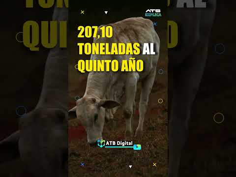 Pando duplicará su producción con entrega de ganado a comunidades