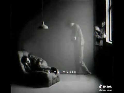 Shungari - Nimaya Walagedra x North X l Official Music Video l Mayawi Mayawi Ma Nube Hedakari