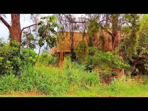Entire Family Abandons House with Everything Inside, Rare, High-Value Furniture, Wardrobe, China ...
